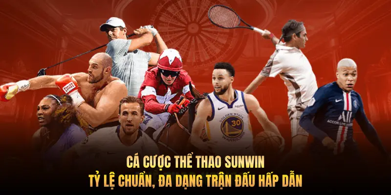 Cá cược thể thao Sunwin – Tỷ lệ chuẩn, đa dạng trận đấu hấp dẫn