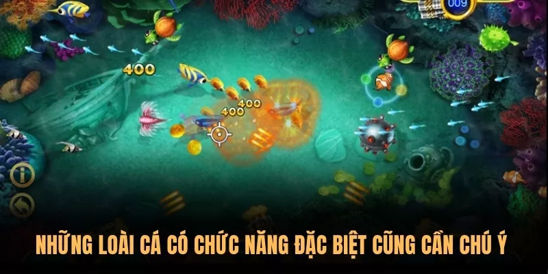 Top các loại cá có giá trị tiền thưởng lớn, đáng “săn” nhất 3 Những loài cá có chức năng đặc biệt cũng cần chú ý