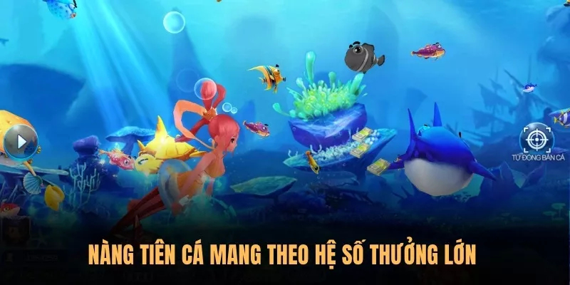 Top các loại cá có giá trị tiền thưởng lớn, đáng “săn” nhất 2 Nàng Tiên Cá mang theo hệ số thưởng lớn
