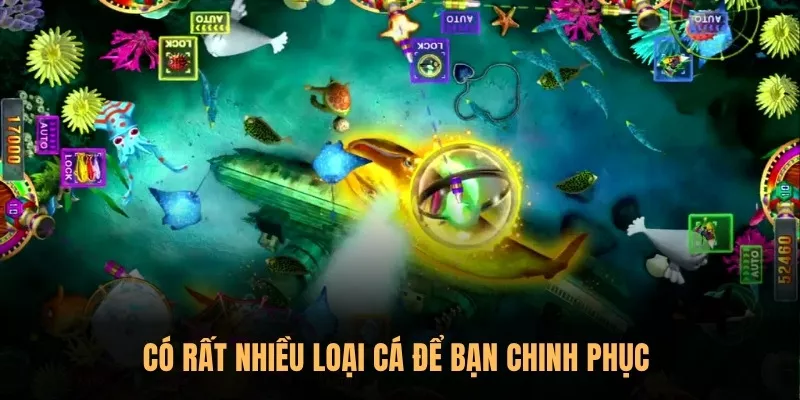 Vua bắn cá Sunwin – Hóa thân thành tay súng cừ khôi 2 Có rất nhiều loại cá để bạn chinh phục